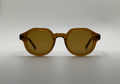 Brown sunglasses on a light gray background
